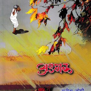 अडगळ