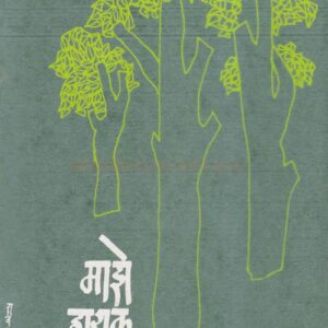 माझे हायकू