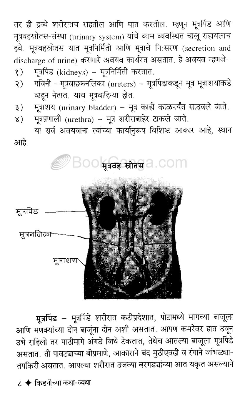 किडनीच्या कथा व्यथा - Image 5