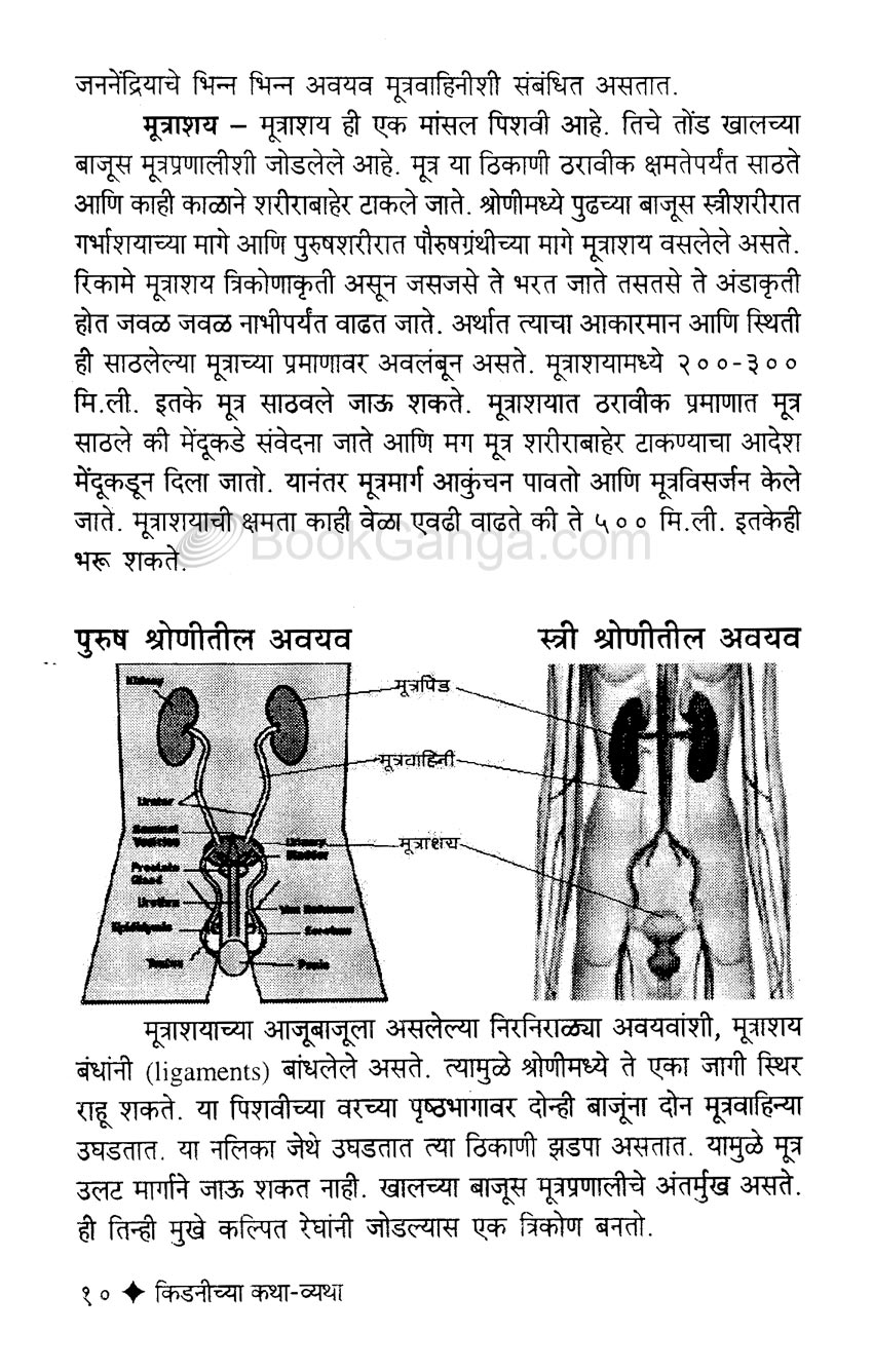 किडनीच्या कथा व्यथा - Image 7