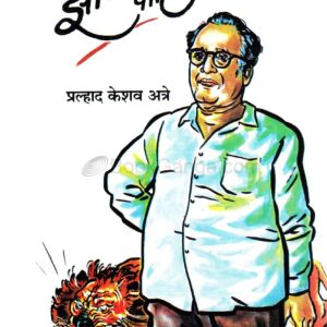 झालाच पाहिजे !
